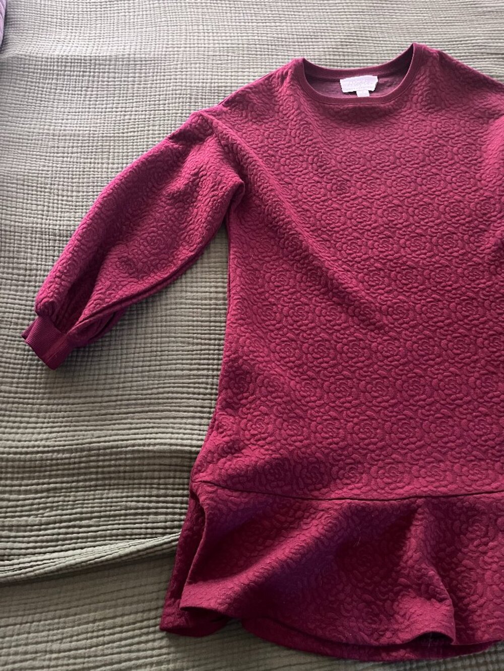 Anthropolgie Fancy Sweatshirt Dress! Yes! :)